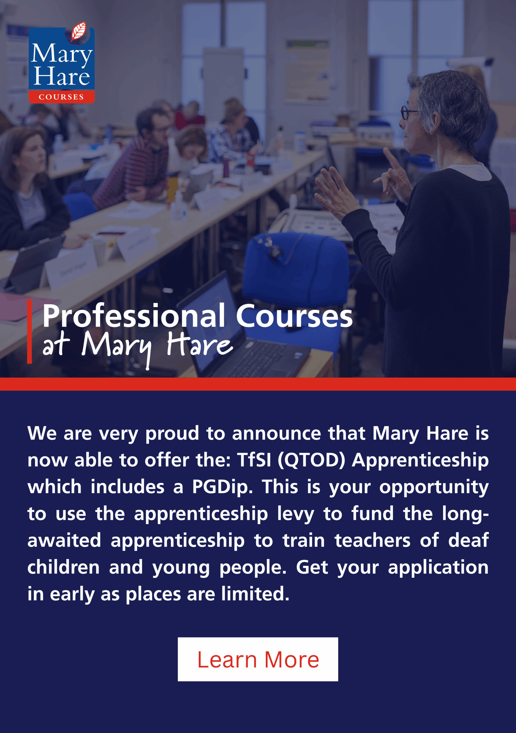 Mary Hare Advert